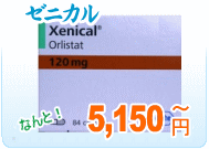 ゼニカル | 脂肪分吸収抑制 | ダイエット医薬品販売